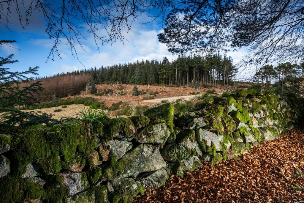 Additional image 18 of Cuthbertson Walk
Bucksburn
Aberdeen
AB21 9HG