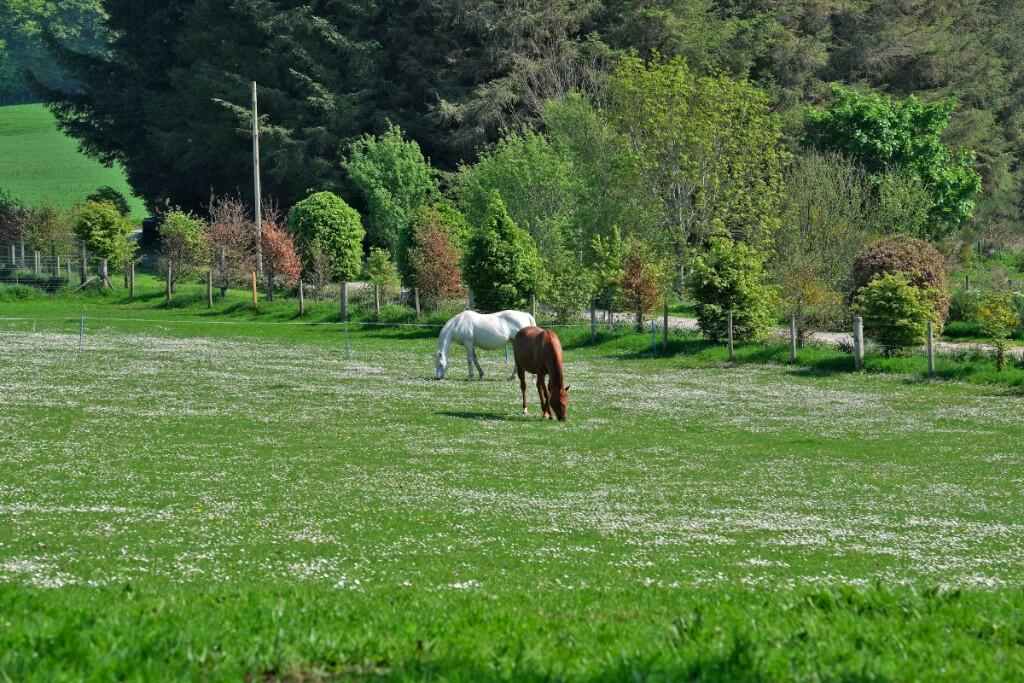 Additional image 27 of (Lot 1) Newmill, Lumsden, AB54 4LB