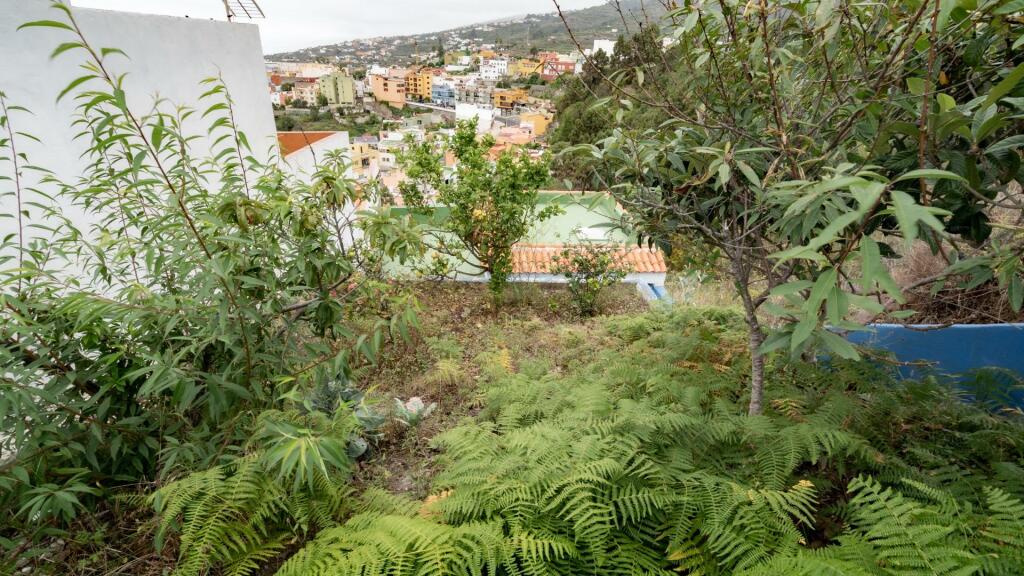 Additional image 3 of Canary Islands, Tenerife, La Guancha, Spain