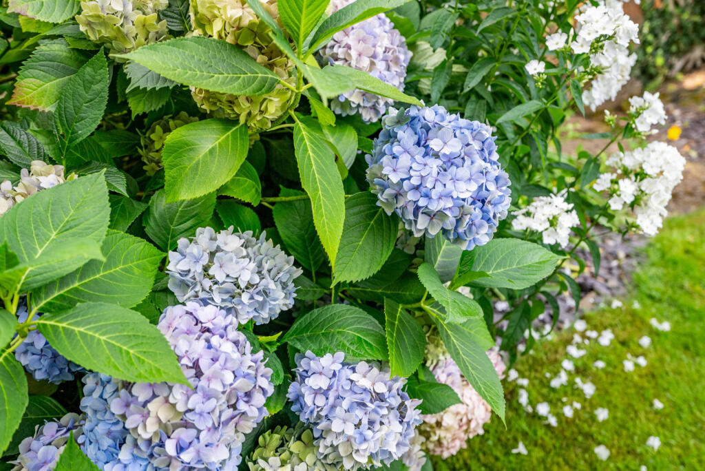 Additional image 17 of Snatchup, Redbourn, St. Albans, Hertfordshire, AL3