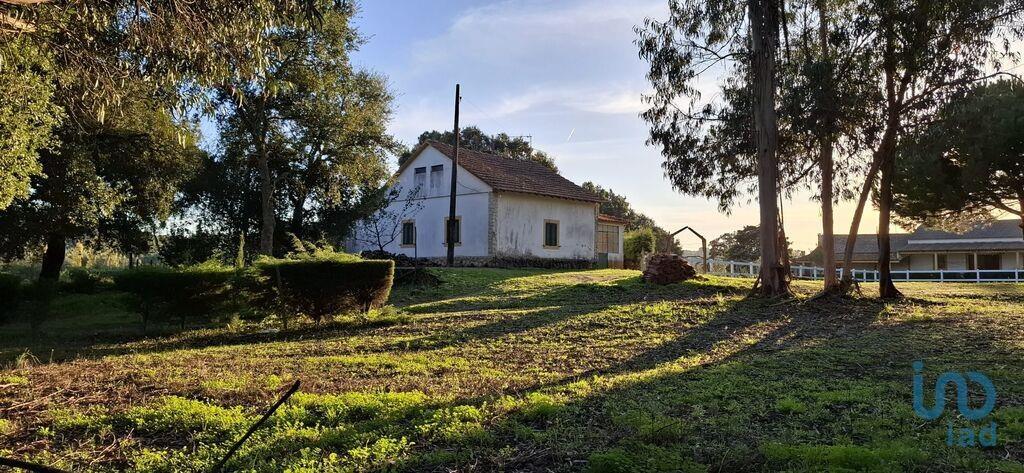 Additional image 3 of Ribatejo, Asseiceira, Portugal