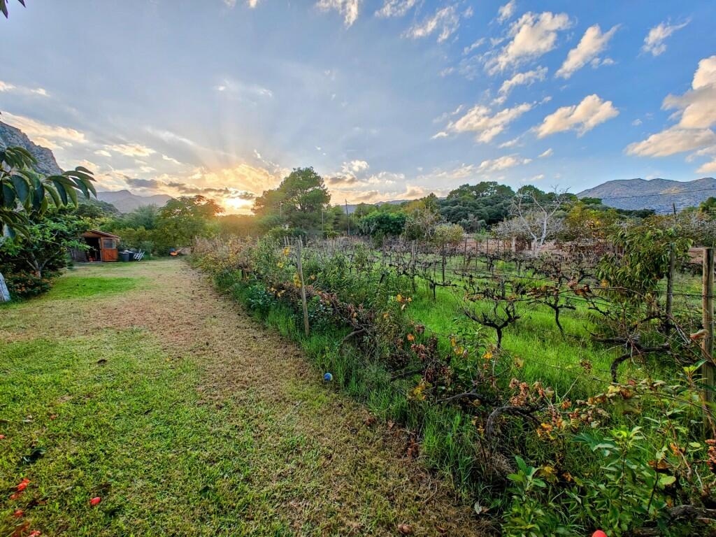 Additional image 3 of Balearic Islands, Mallorca, Pollensa, Spain