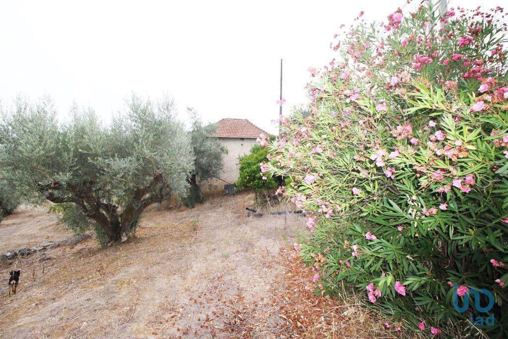 Additional image 3 of Ribatejo, Tomar, Portugal