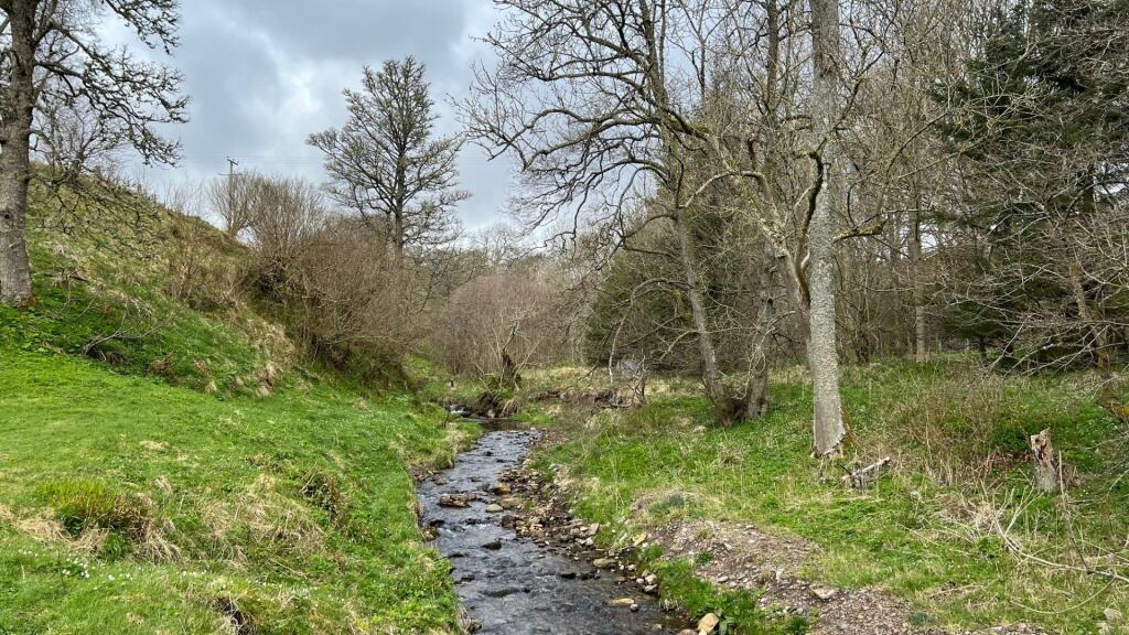 Additional image 27 of Drummuir, Keith