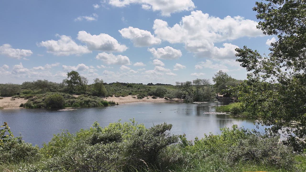 Additional image 2 of Frans Zwaanstraat 74, 2042 CE Zandvoort