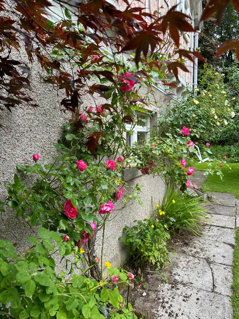 Additional image 20 of Rhynie, Druminnor, AB54