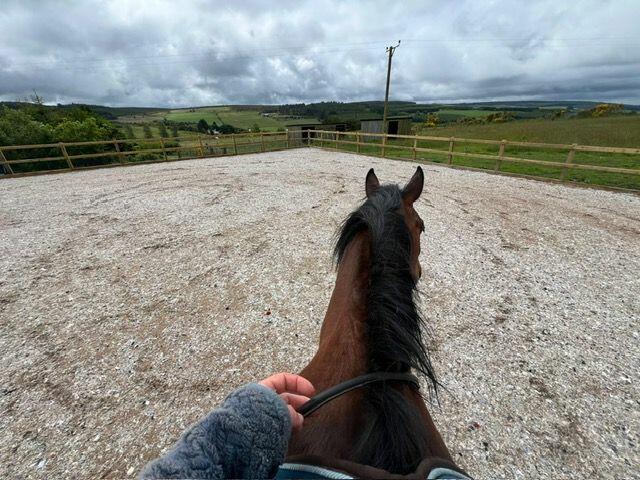 Additional image 23 of Drybridge, Buckie, AB56 5JD