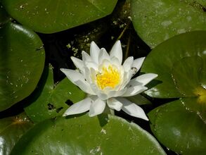 Additional image 5 of 21550 Bathurst St