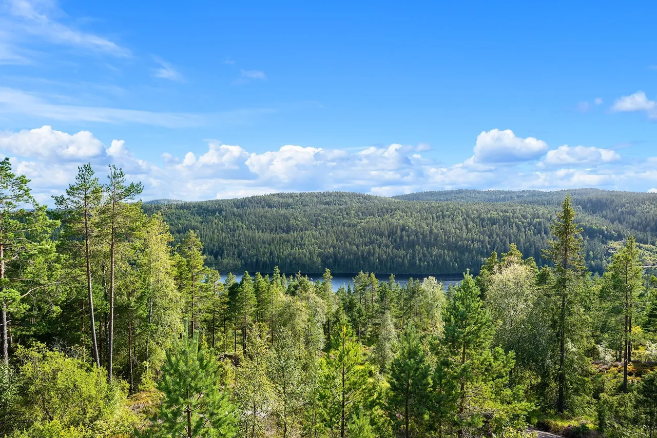 Additional image 2 of Kjellevann hytteområde 62, 4724 Iveland