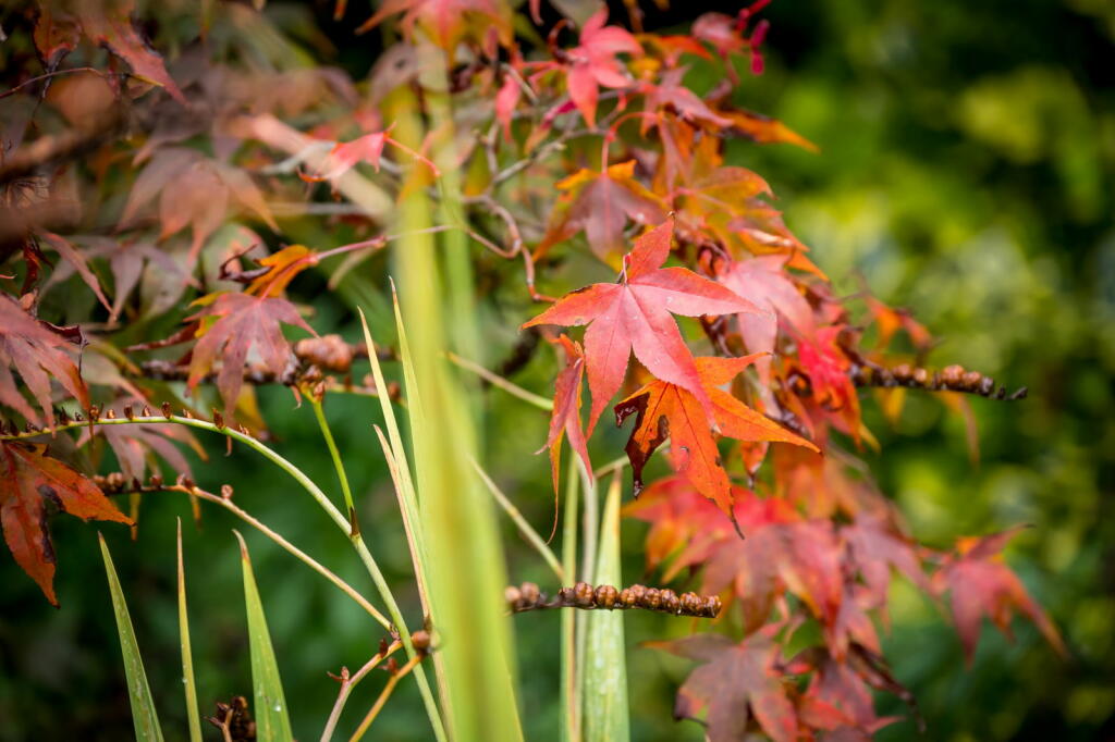 Additional image 38 of Crouch Hall Lane, Redbourn, St. Albans, AL3 7EU