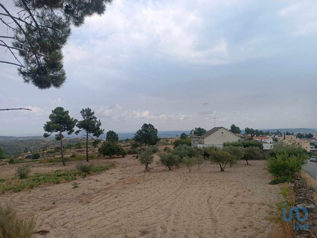 Additional image 3 of Beira Alta, Trancoso, Portugal