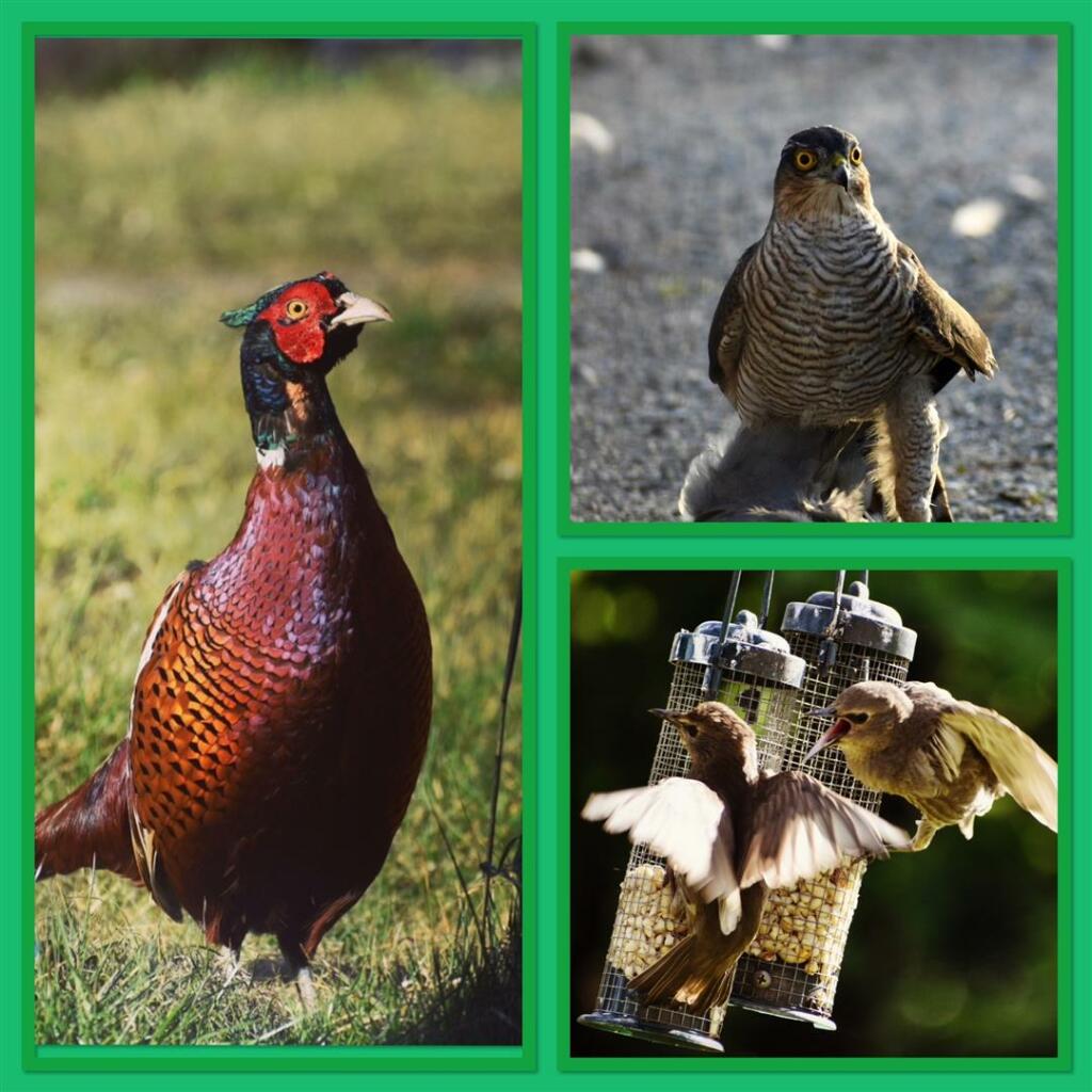 Additional image 34 of Malcolmburn Steading, Mulben, Keith