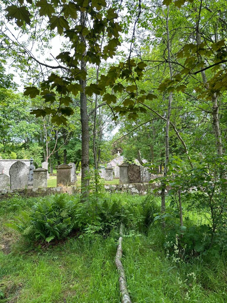 Additional image 33 of Rhynie, Druminnor, AB54