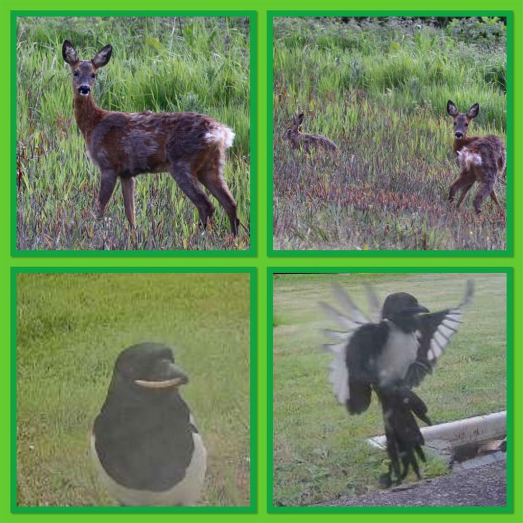 Additional image 33 of Malcolmburn Steading, Mulben, Keith