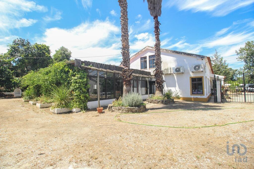 Additional image 3 of Alto Alentejo, Silveiras, Portugal