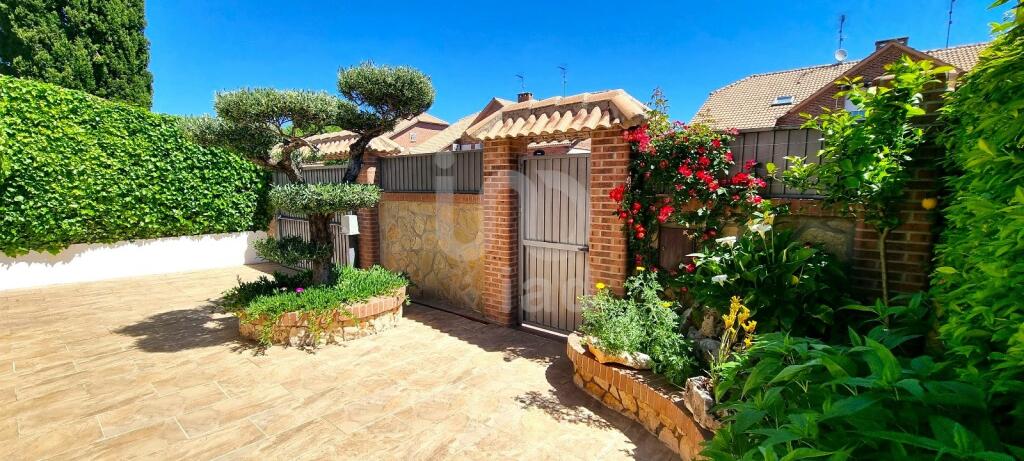 Primary image of Madrid, Madrid, Meco, Spain