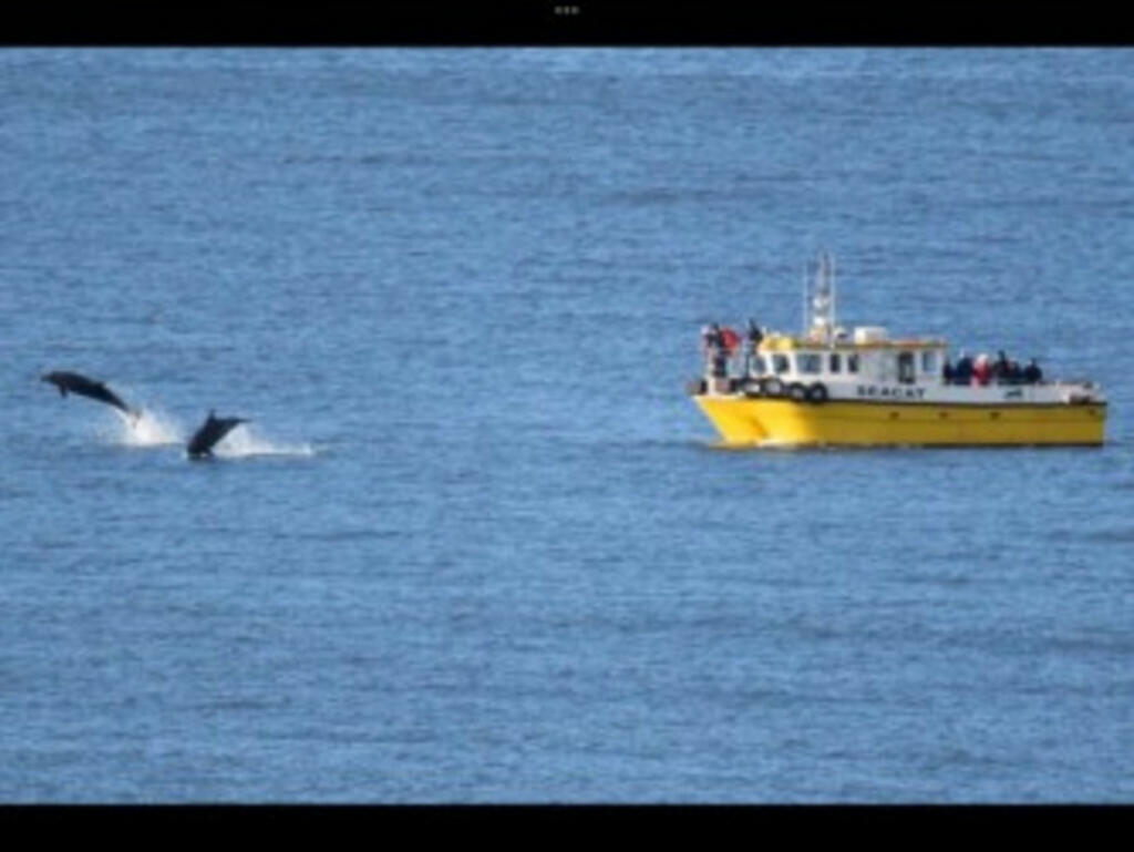 Additional image 41 of Victoria Gardens, Banff, AB45