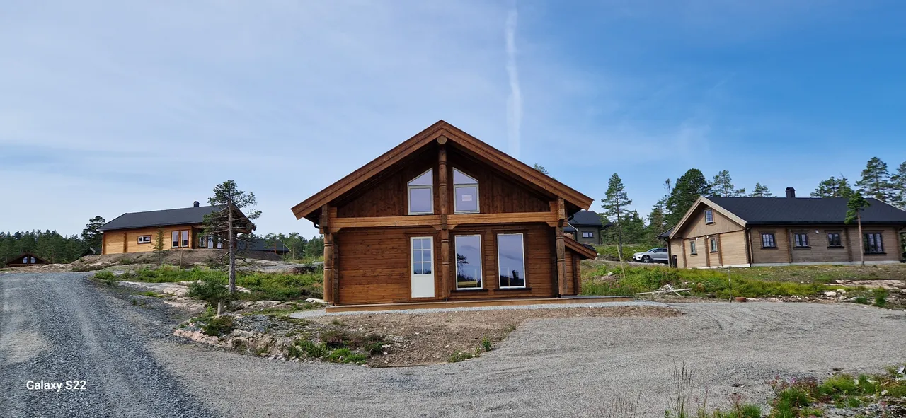 Rustand Fjellgrend, 3623 Lampeland