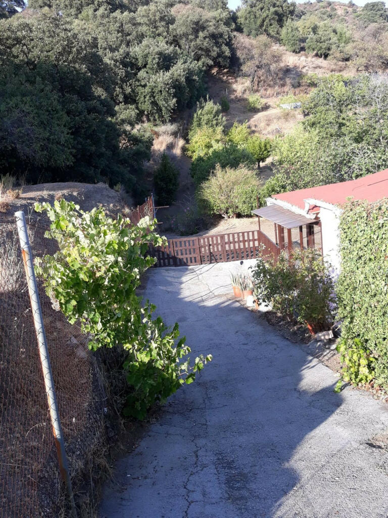 Primary image of Andalucia, Malaga, Estepona, Spain