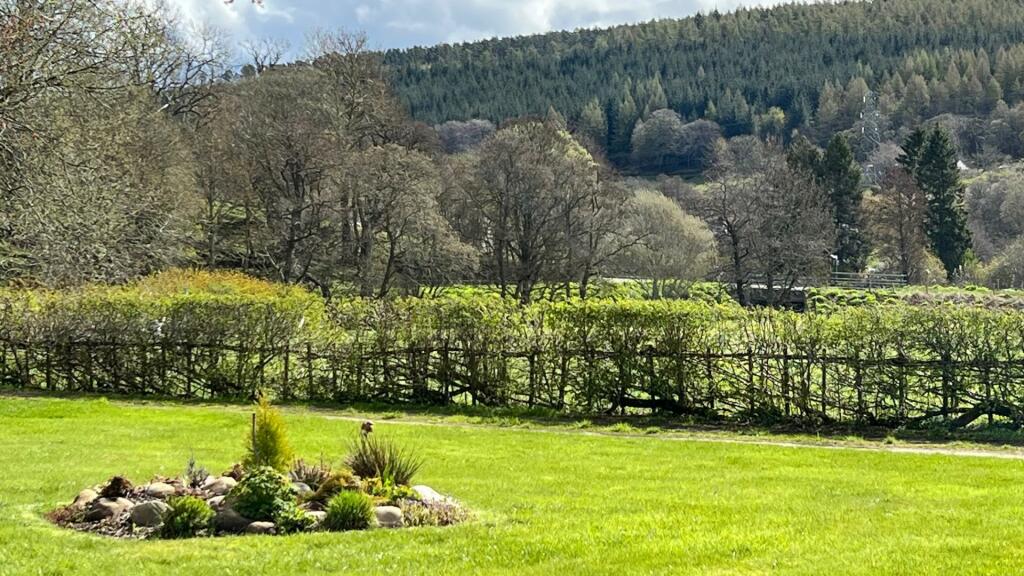 Additional image 33 of Drummuir, Keith