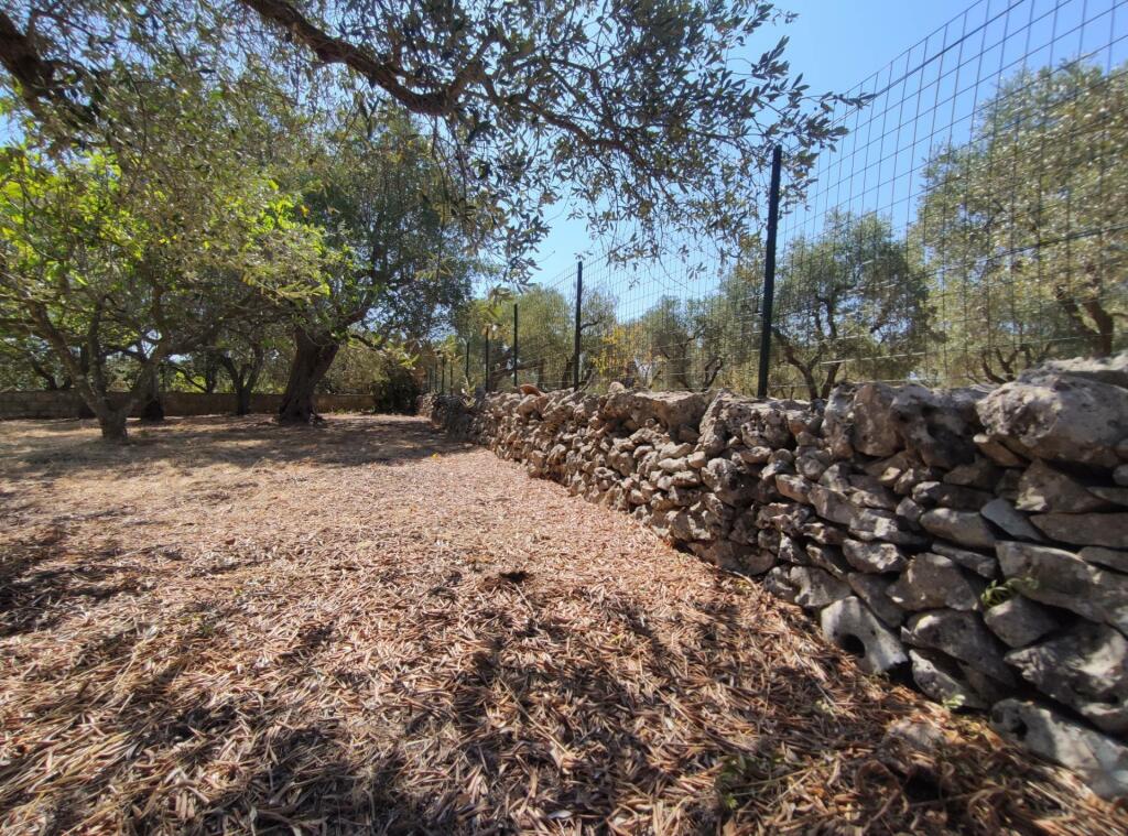 Additional image 3 of Apulia, Brindisi, Ostuni, Italy