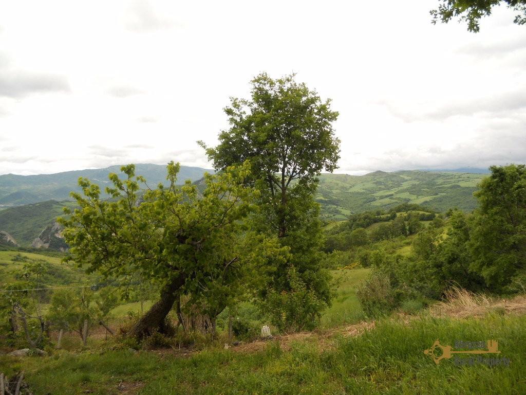 Additional image 3 of Torricella Peligna, Chieti, Abruzzo, Italy