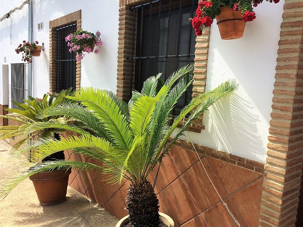 Additional image 2 of La Muela, Andalucia, Spain