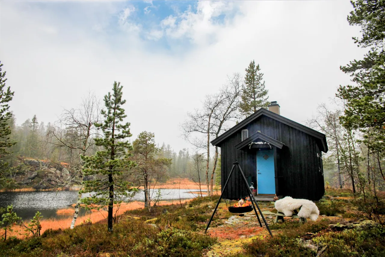 Additional image 2 of Halvorselvlia 55, 3516 Hønefoss