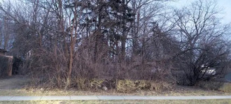 Additional image 2 of 205 Leamon St