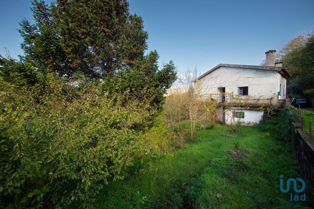Additional image 2 of Beira Litoral, Serpins, Portugal