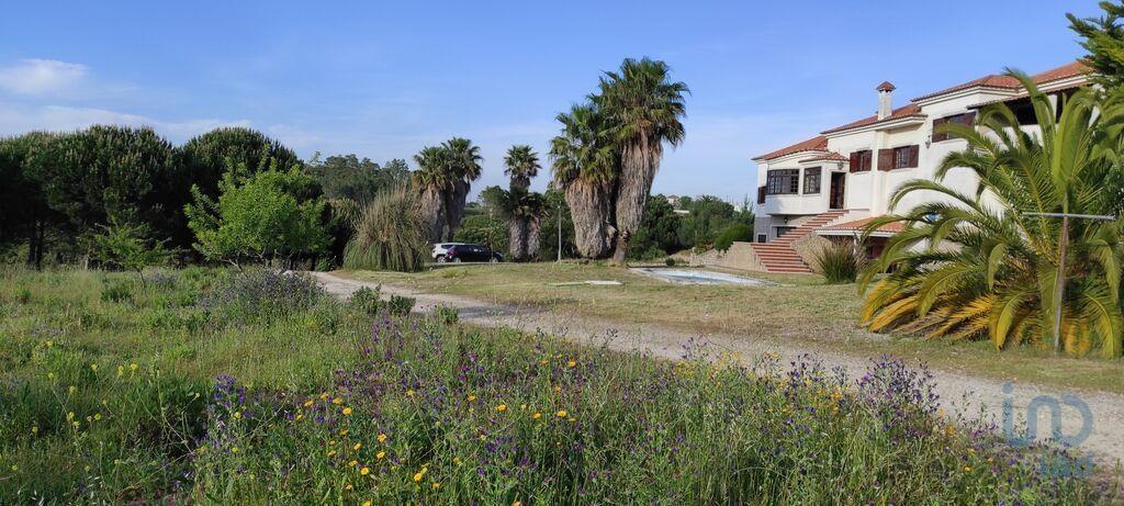 Additional image 2 of Setúbal, Sesimbra, Portugal