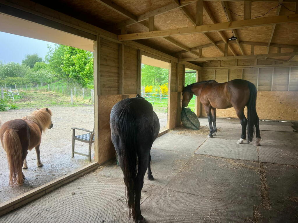 Additional image 24 of Drybridge, Buckie, AB56 5JD