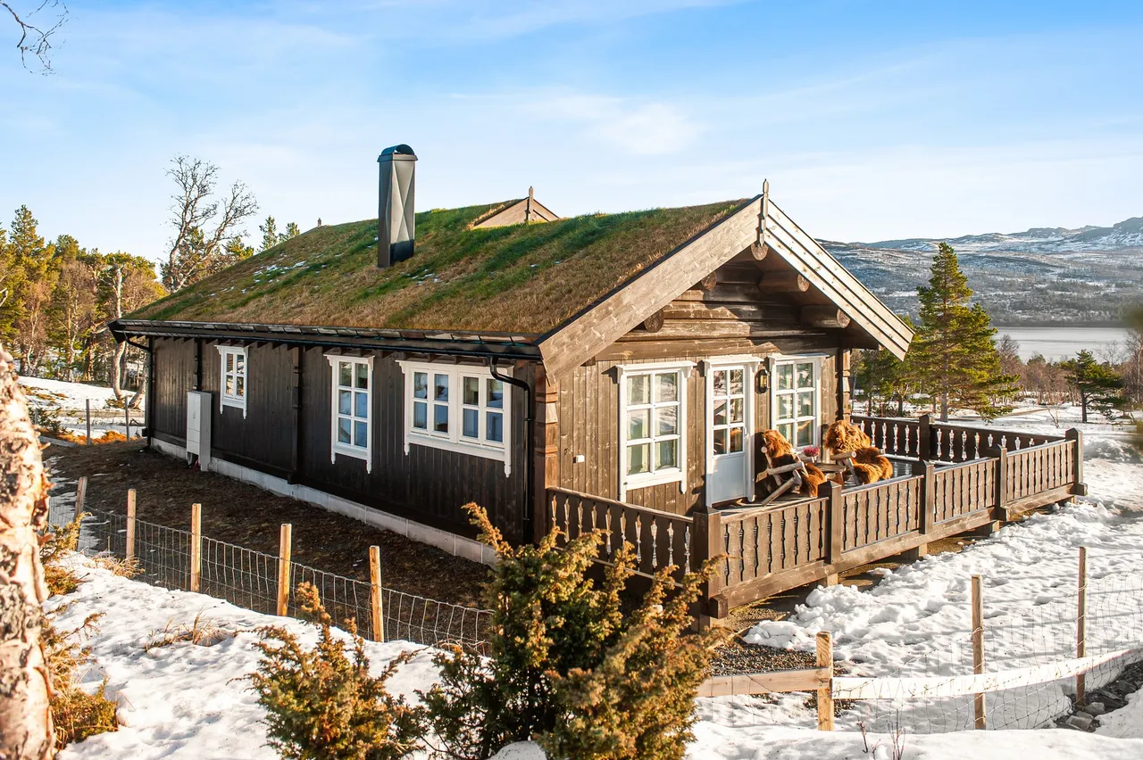 Additional image 3 of Flåsæterenget 43, 7393 Rennebu