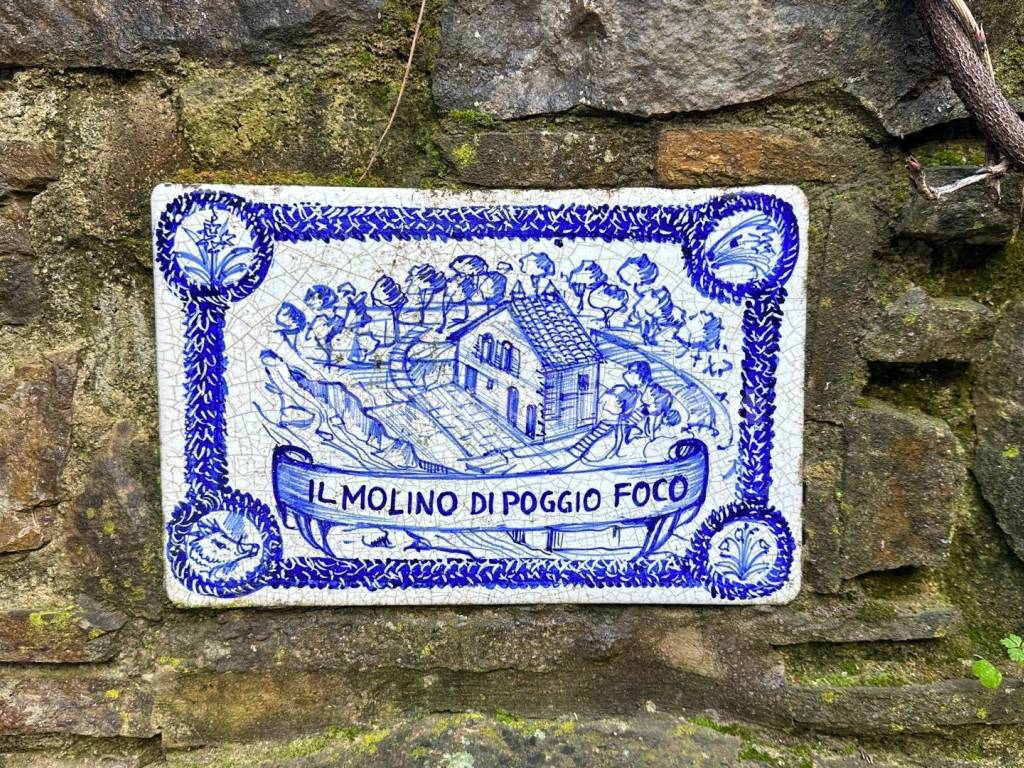 Additional image 2 of Poggio Foco, Snc