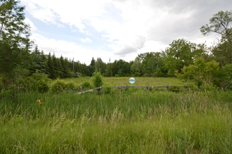 Additional image 3 of 4137 Hwy 7