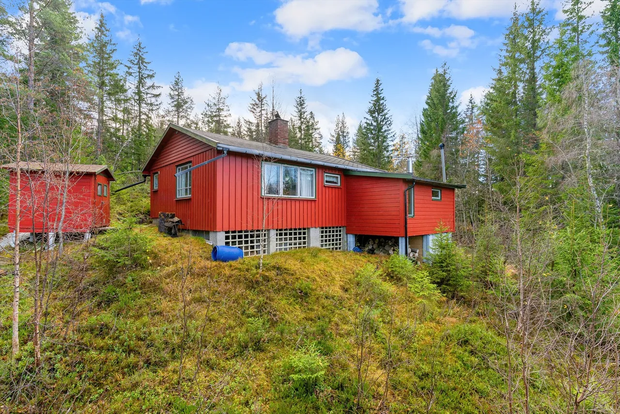 Additional image 2 of Buserud 35, 3624 Lyngdal i Numedal