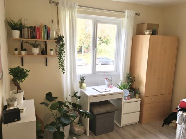 Additional image 7 of BILLS INCLUDED! Metchley Drive, Birmingham, B170JX