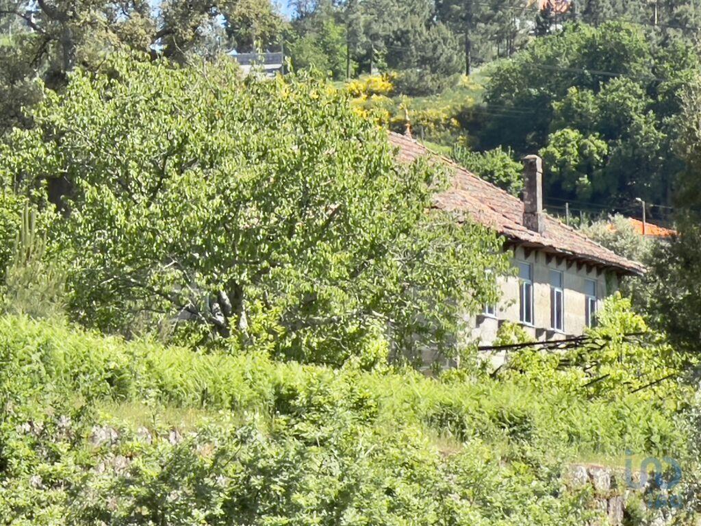 Additional image 3 of Beira Alta, Cinfães, Portugal