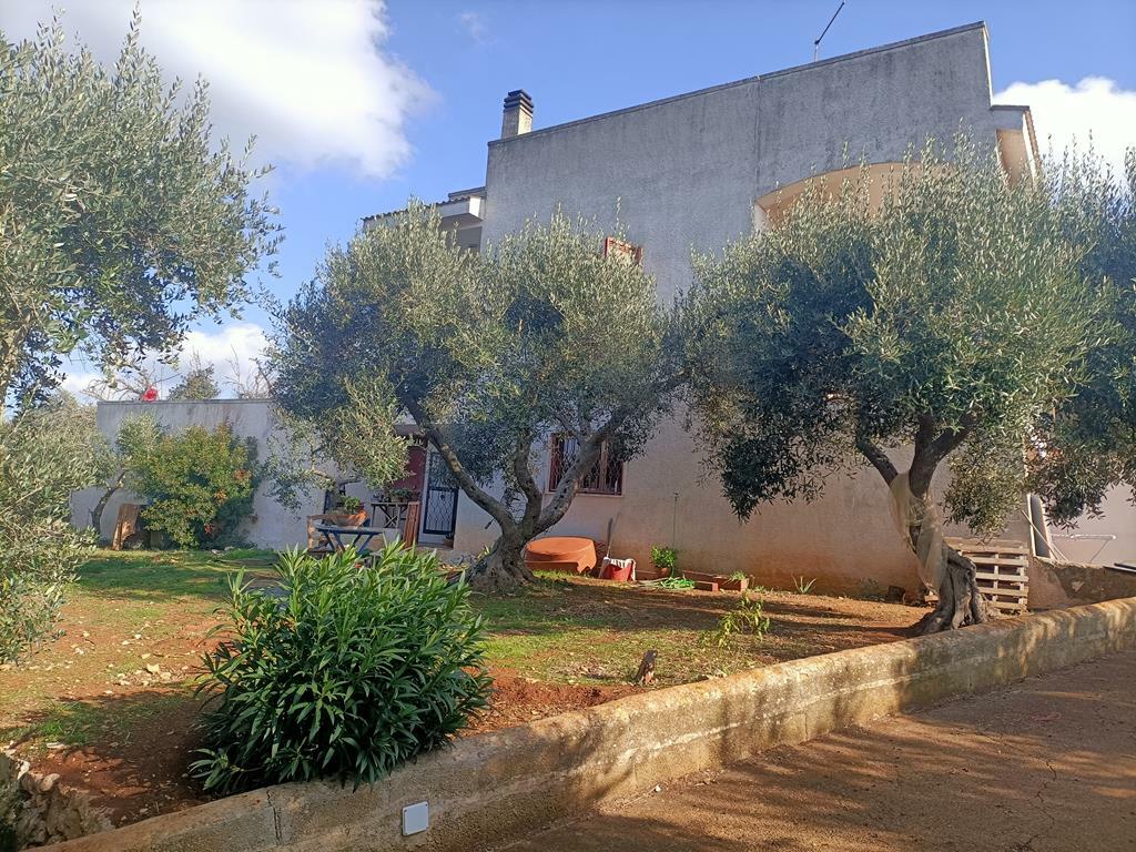 Additional image 3 of Apulia, Brindisi, Cisternino, Italy