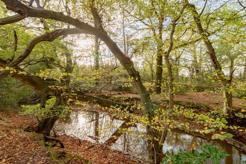 Additional image 21 of Astwick Manor, Coopers Green Lane