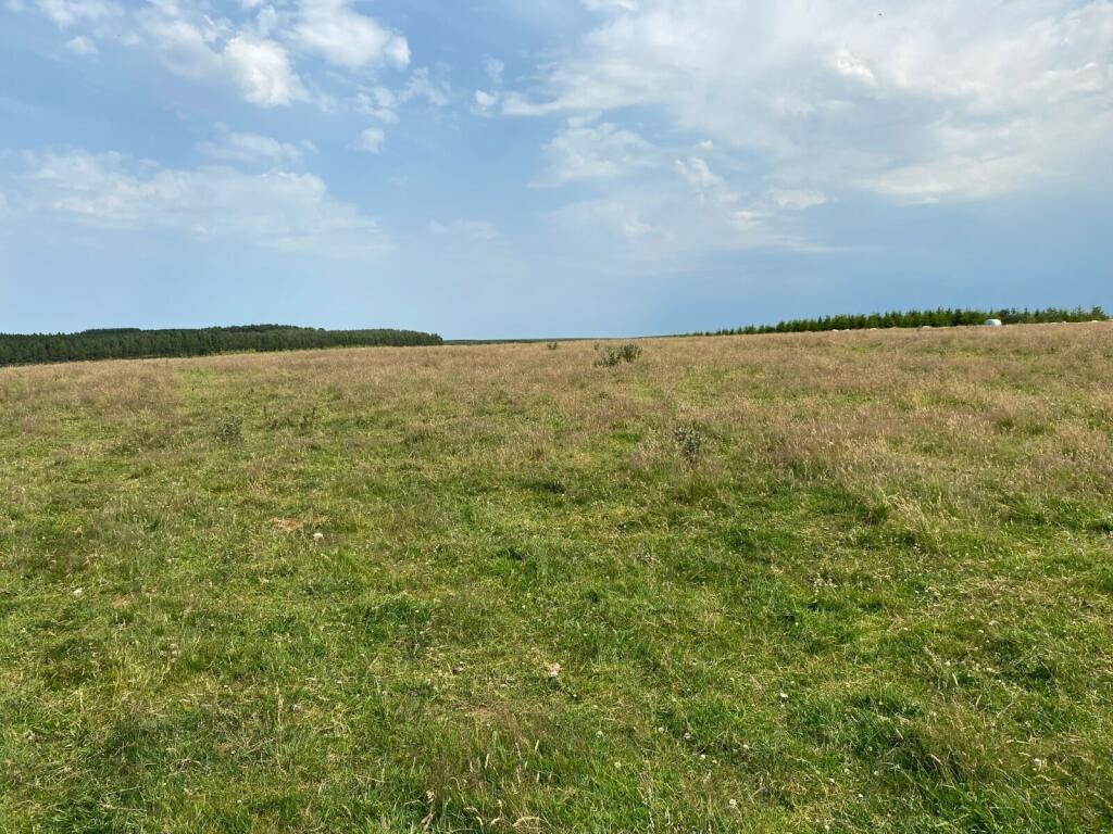Additional image 15 of Backhill Of Drumblair, Forgue, Huntly, Aberdeenshire, AB54