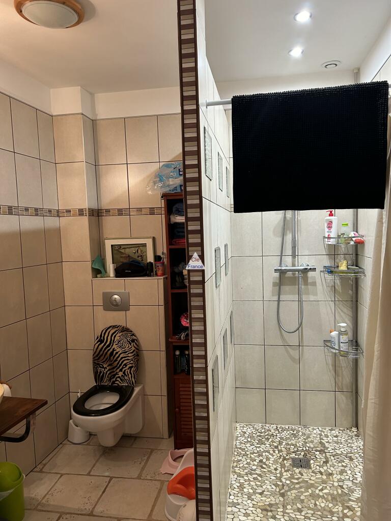 Additional image 3 of Chatillon-sur-Loire, Loiret, 45360, France