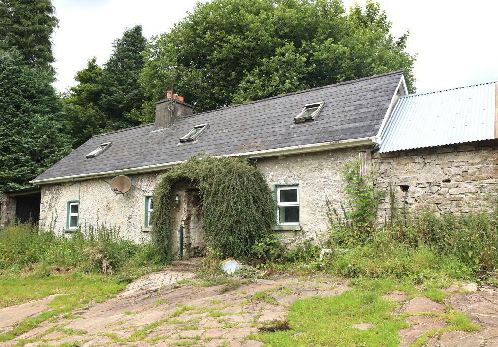 Additional image 2 of Stough, Roscrea, Ireland