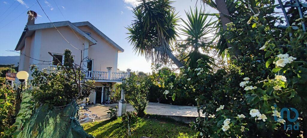 Primary image of Minho, Seixas, Portugal