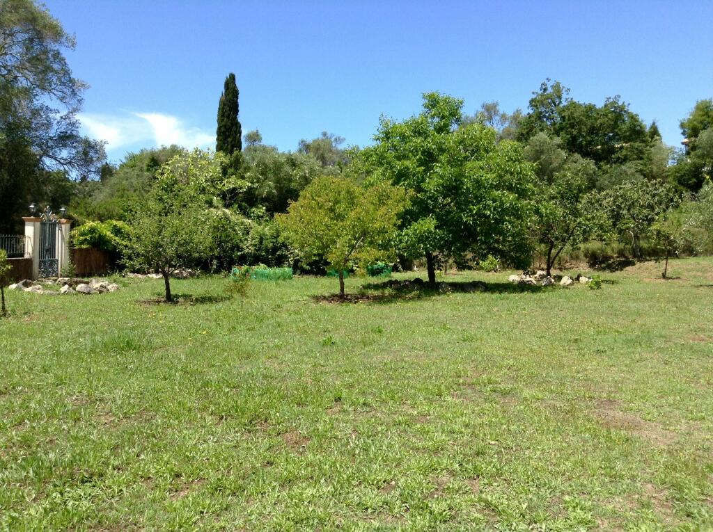 Additional image 2 of Ionian Islands, Corfu, Kinopiastes, Greece