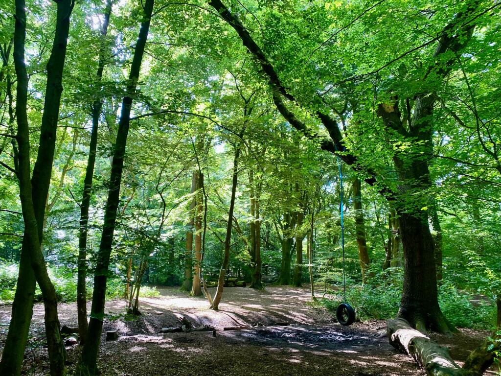 Additional image 21 of Seven Star Road, Solihull, B91