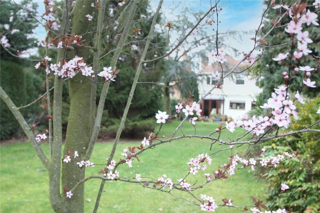 Additional image 29 of Coleshill Road, Marston Green, Birmingham, West Midlands, B37