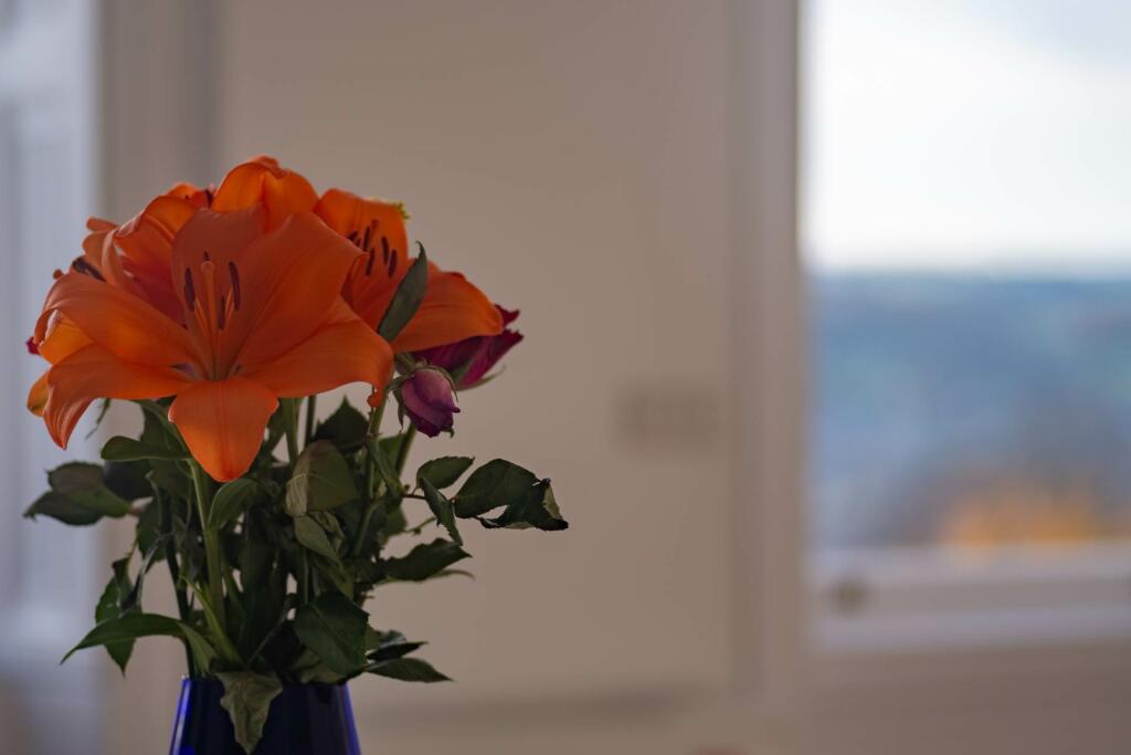 Additional image 9 of Lansdown Crescent, Bath