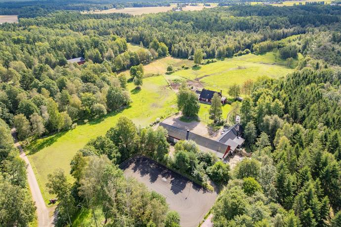 Öppinge Ängamossen 719