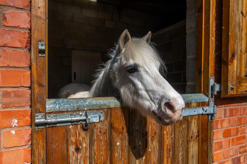 Additional image 49 of Stratford Road, Cranhill